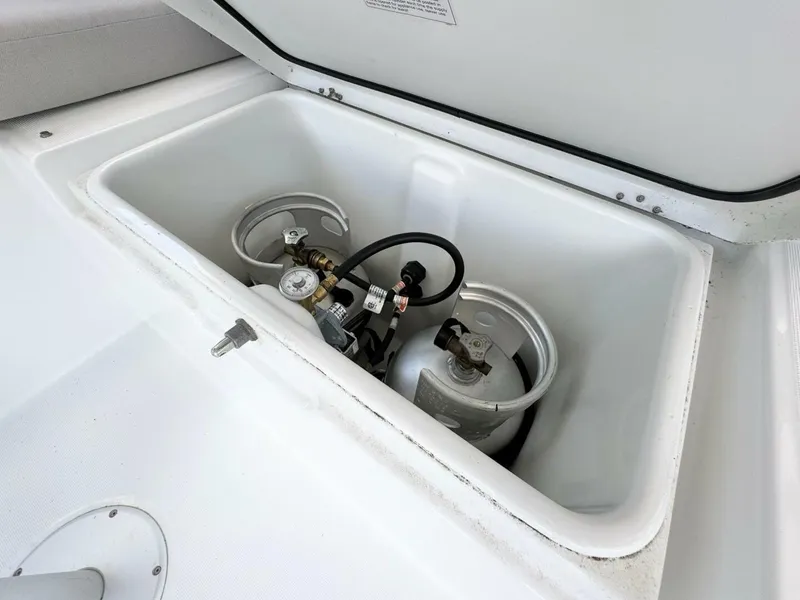 Slide: The Image of Excess 12 2023 - 5371894