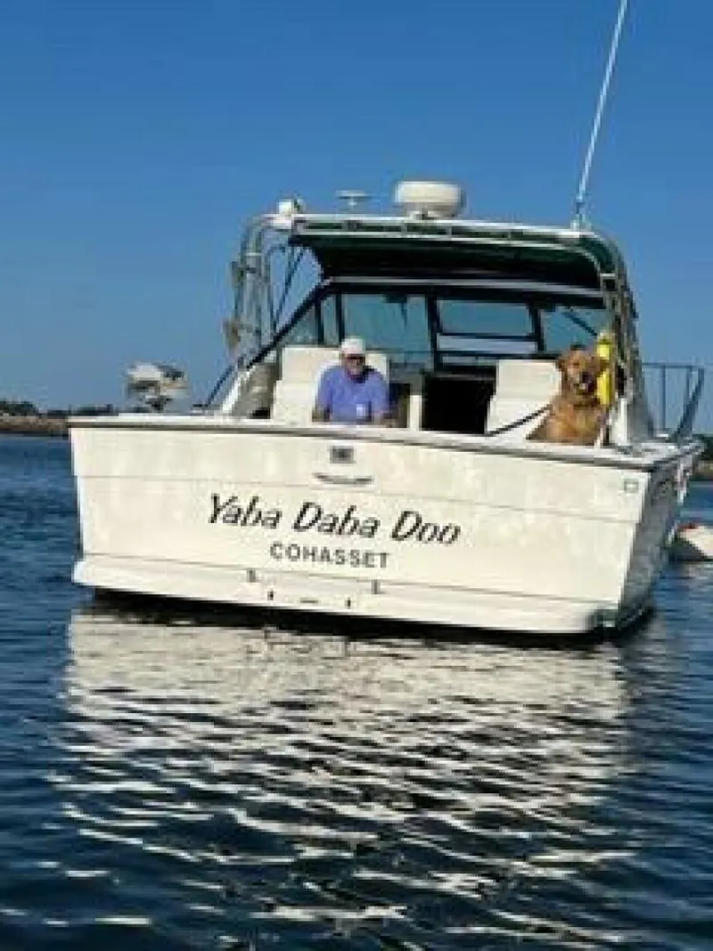 Slide: The Image of Pursuit 3100 Open 1996 - 5373716