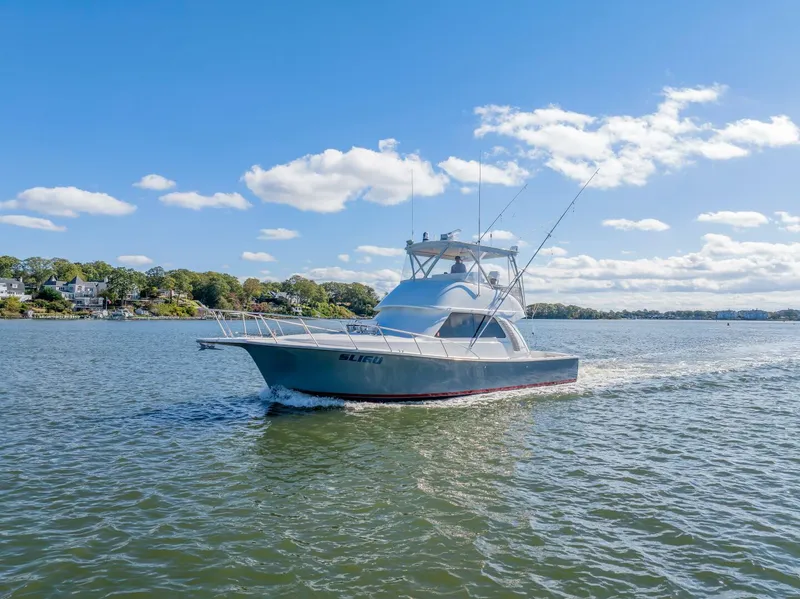 Slide: The Image of Henriques 42 Convertible 2023 - 5726793