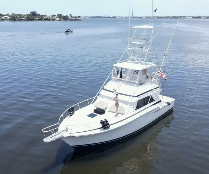 Slide: The Image of Bertram 43 Convertible 1988 - 5375864