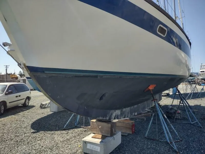 Slide: The Image of Islander Freeport 1979 - 5376937
