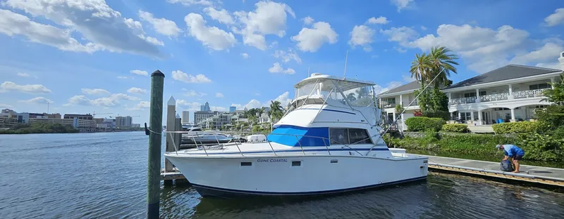 The Image of Bertram 38 Convertible 1982 - 5378394