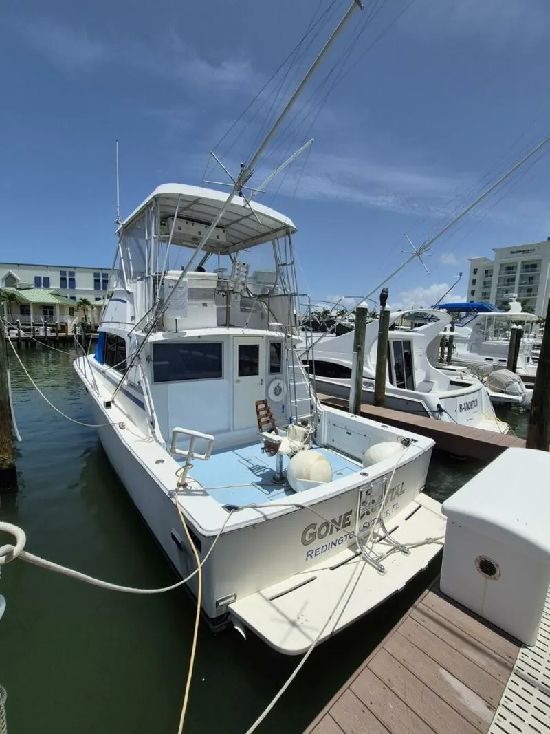 Slide: The Image of Bertram 38 Convertible 1982 - 5378405