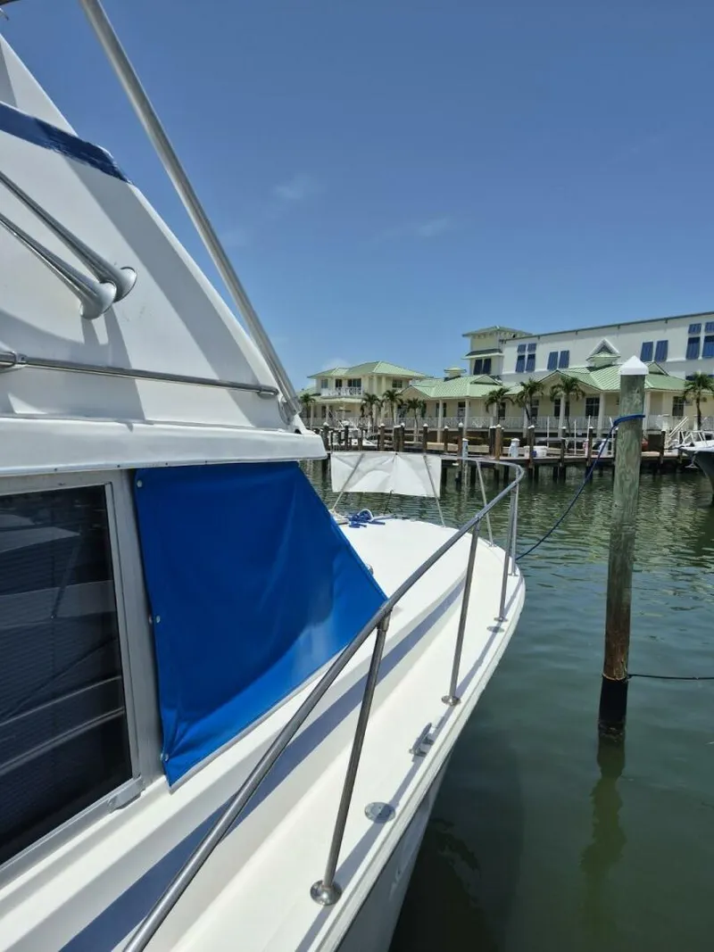 Slide: The Image of Bertram 38 Convertible 1982 - 5378408