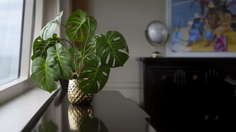 Slide: The Image of Stephens Brothers 100 1975 - 5455748