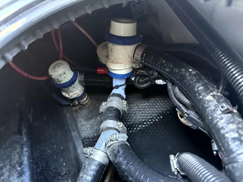 Slide: The Image of Axis T23 2020 - 5471148