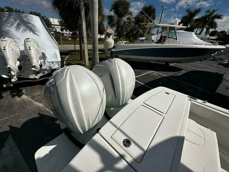 Slide: The Image of Regulator Marine 28 2024 - 5385026