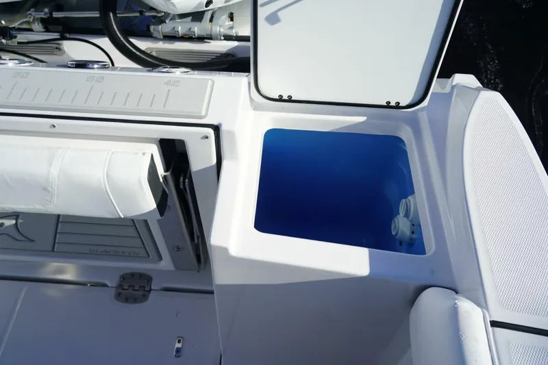 Slide: The Image of Blackfin 252CC 2025 - 5385794