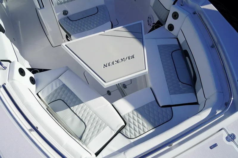 Slide: The Image of Blackfin 252CC 2025 - 5385778