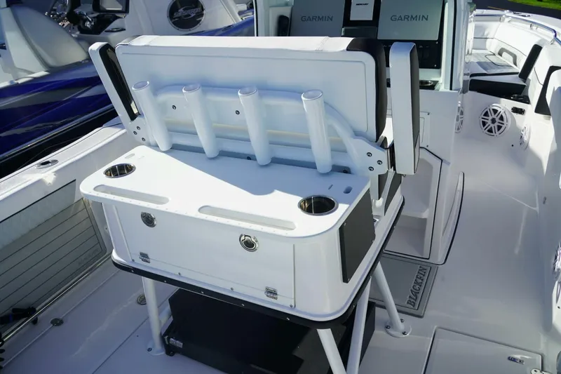 Slide: The Image of Blackfin 252CC 2025 - 5385781