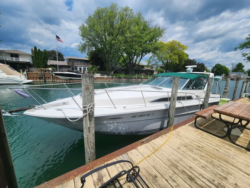 The Image of Sea Ray 34 1987 - 5387425