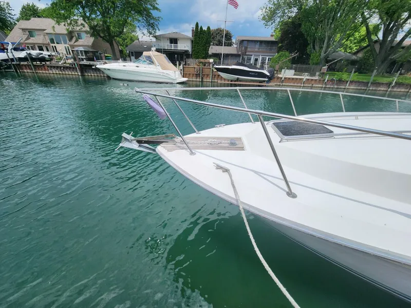 Slide: The Image of Sea Ray 34 1987 - 5387492