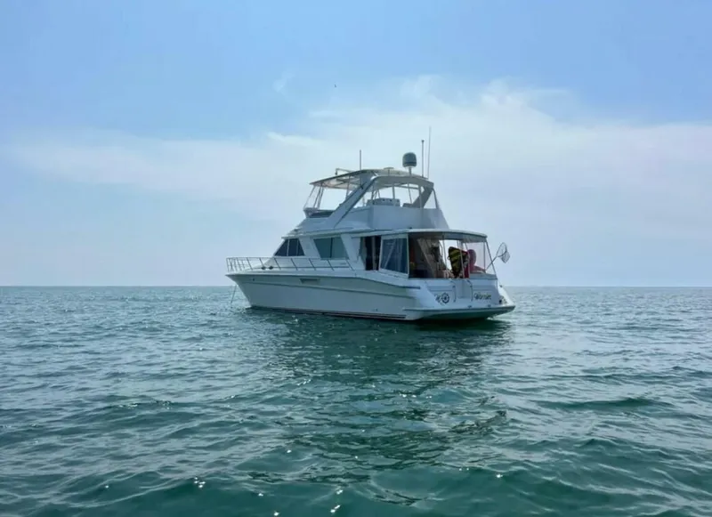 Slide: The Image of Sea Ray 550 Sedan Bridge 1995 - 5390663