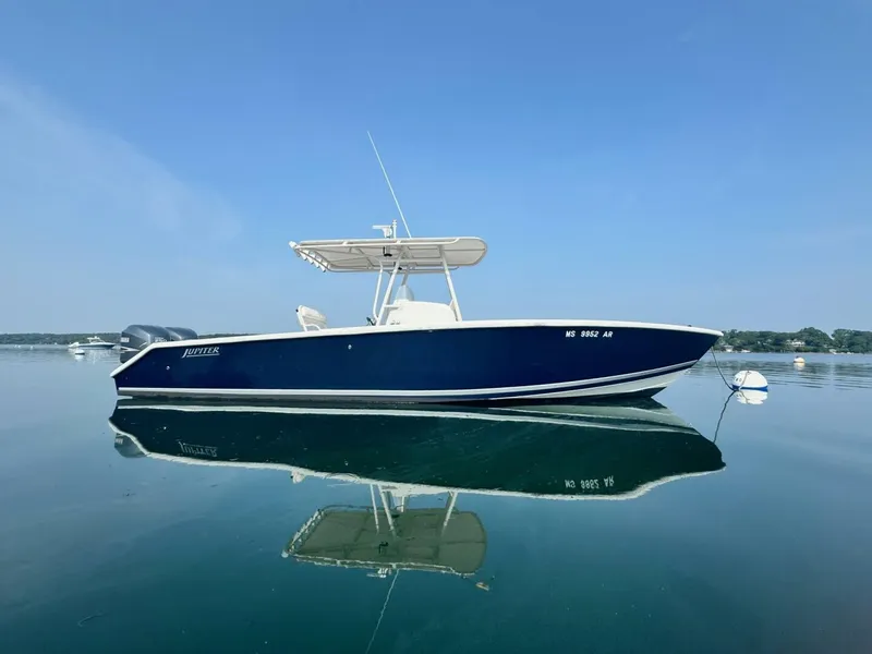 The Image of Jupiter 29 2007 - 5389506