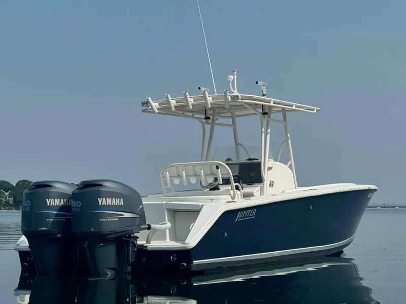 Slide: The Image of Jupiter 29 2007 - 5389505