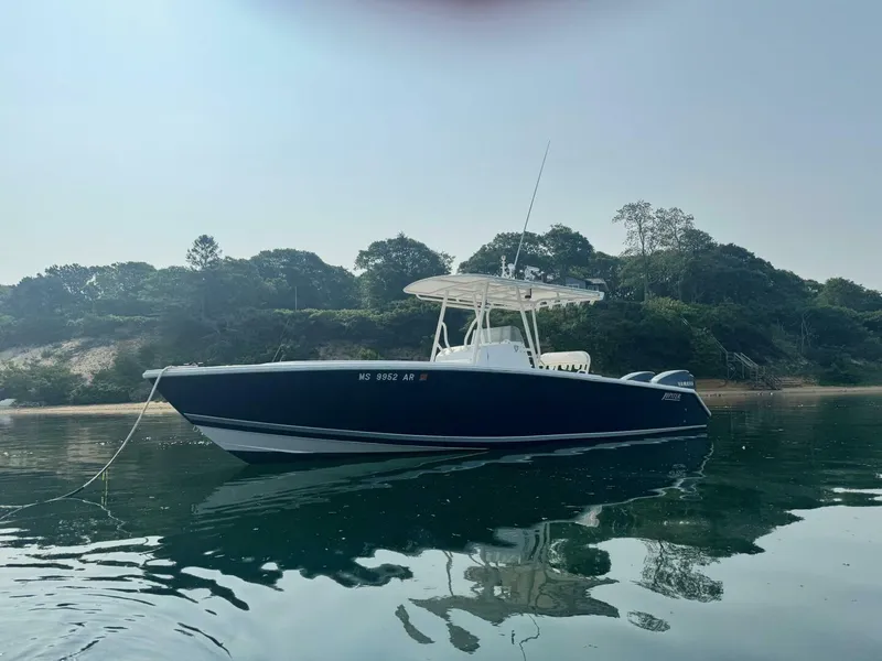 Slide: The Image of Jupiter 29 2007 - 5389508