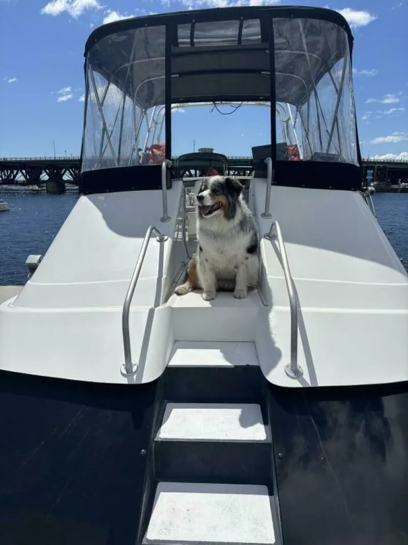 Slide: The Image of Bow Access To Flybridge - 5398547