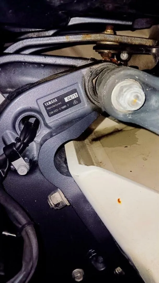 Slide: The Image of Rosborough RF 246 2005 - 5446281