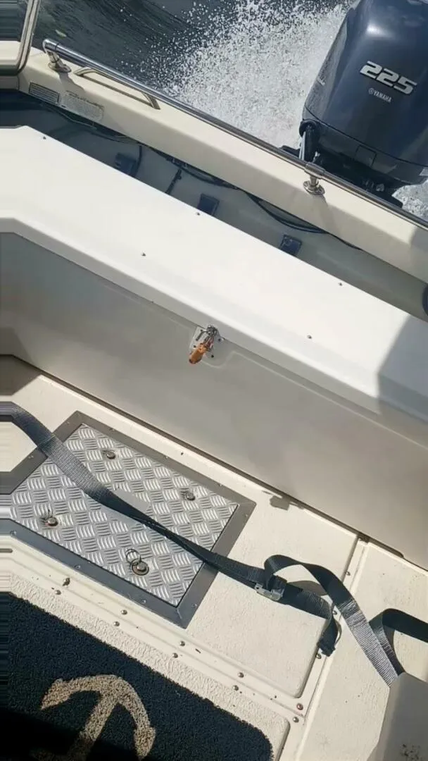 Slide: The Image of Rosborough RF 246 2005 - 5446251