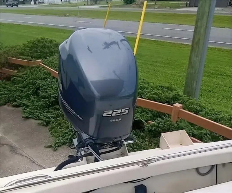 Slide: The Image of Rosborough RF 246 2005 - 5446303