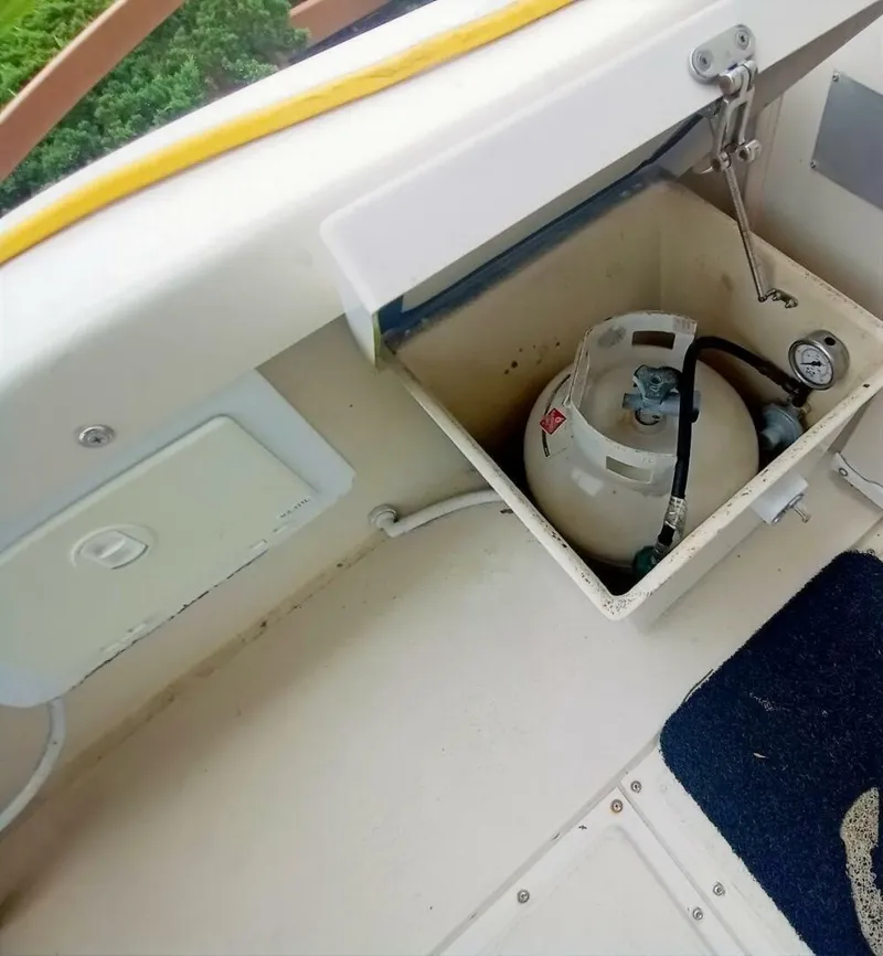 Slide: The Image of Rosborough RF 246 2005 - 5446308