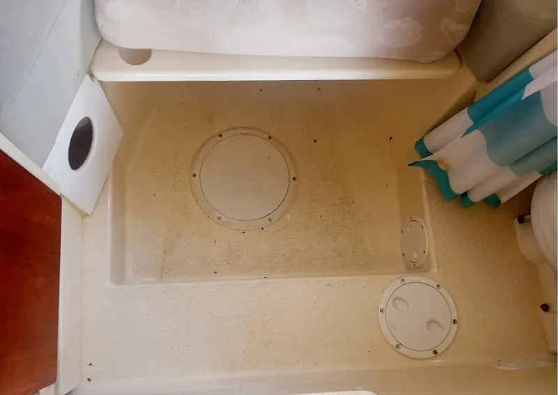 Slide: The Image of Rosborough RF 246 2005 - 5446351