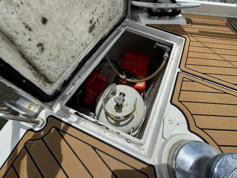 Slide: The Image of Amel Mango 52 1980 - 5399789