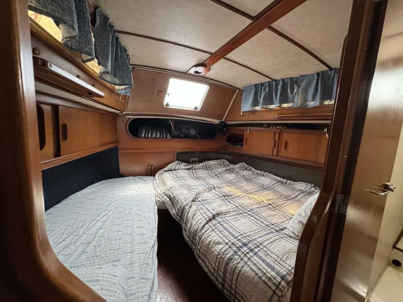 Slide: The Image of Amel Mango 52 1980 - 5399817