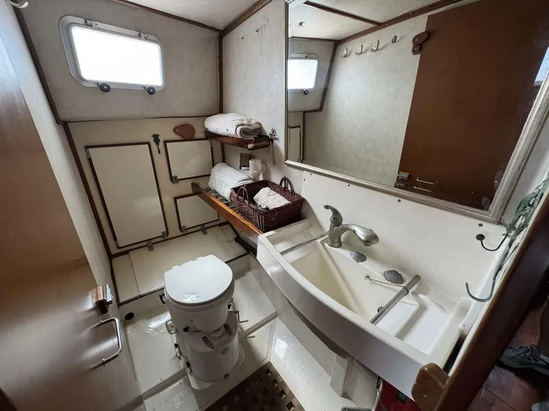 Slide: The Image of Amel Mango 52 1980 - 5399819