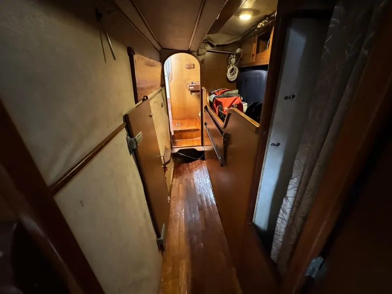 Slide: The Image of Amel Mango 52 1980 - 5399821