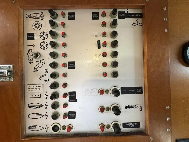 Slide: The Image of Amel Mango 52 1980 - 5399827