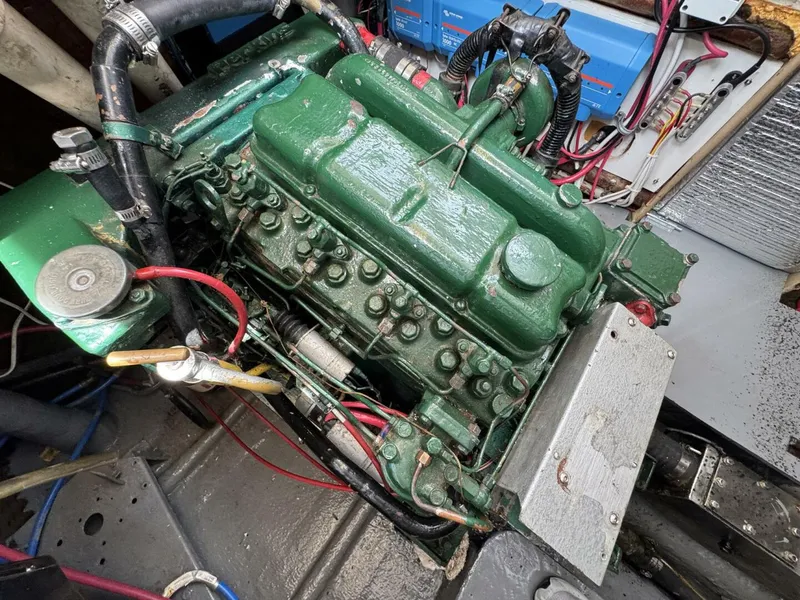 Slide: The Image of Amel Mango 52 1980 - 5399831