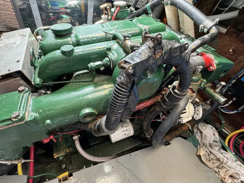 Slide: The Image of Amel Mango 52 1980 - 5399833