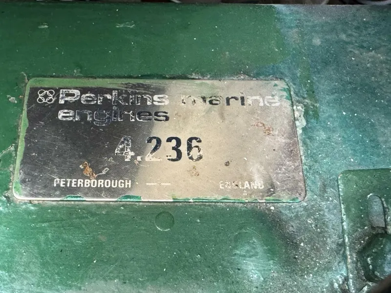 Slide: The Image of Amel Mango 52 1980 - 5399835