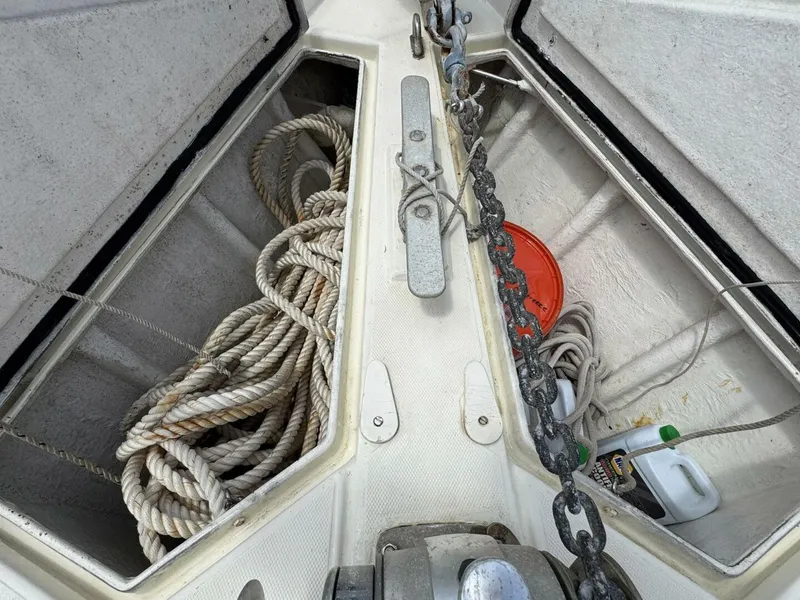 Slide: The Image of Amel Mango 52 1980 - 5399778