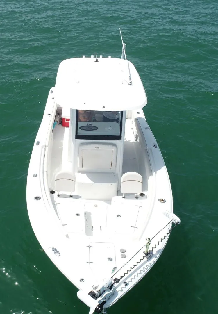 Slide: The Image of Sea Hunt 25 2022 - 5407287