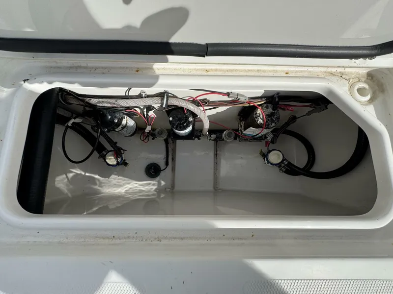 Slide: The Image of Sea Hunt Game Fish 27 2021 - 5412001