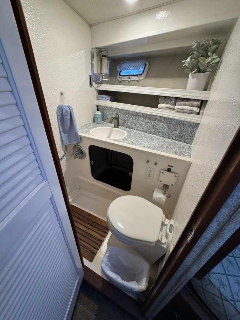 Slide: The Image of Head - 5412594