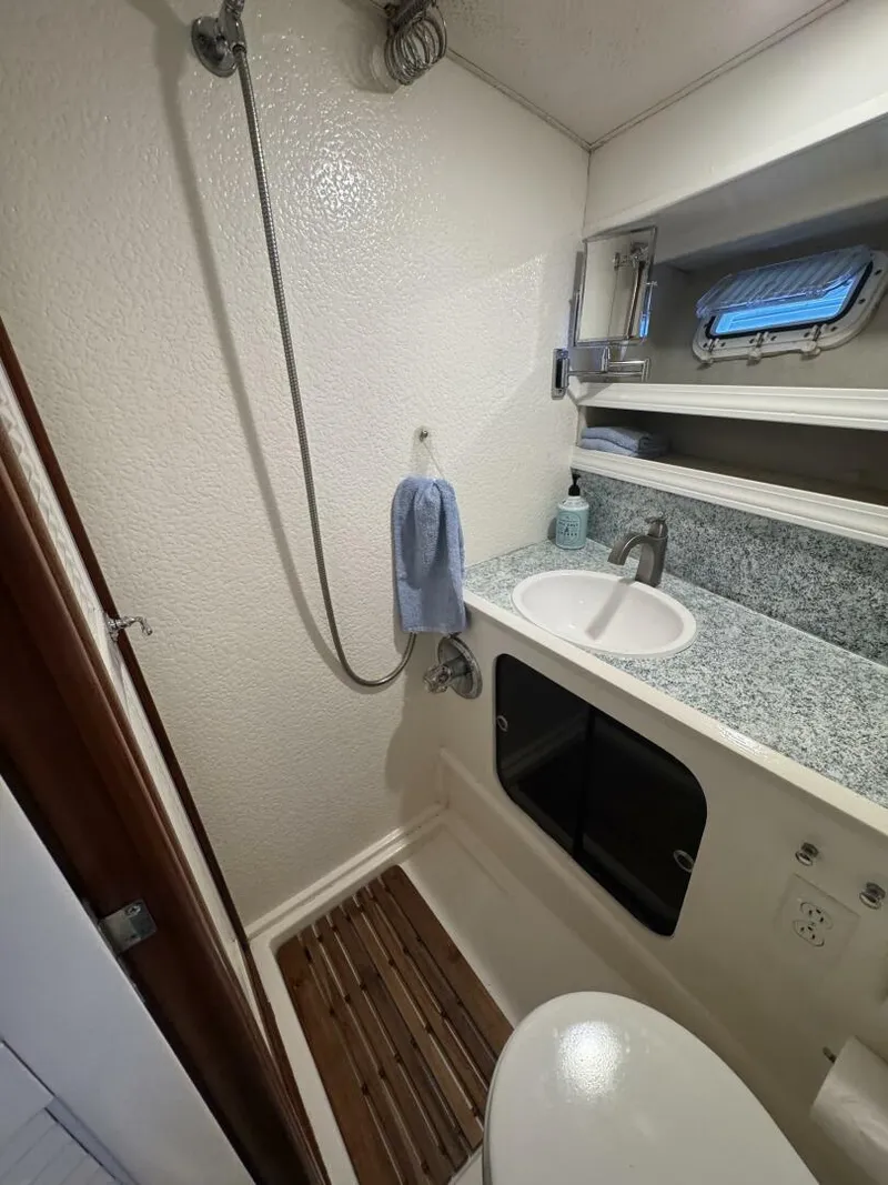 Slide: The Image of Head - 5412595