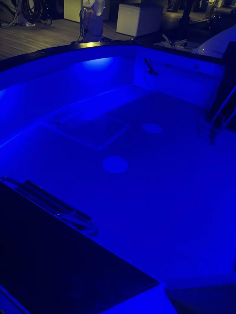 Slide: The Image of Pacemaker 36 1978 - 5412663