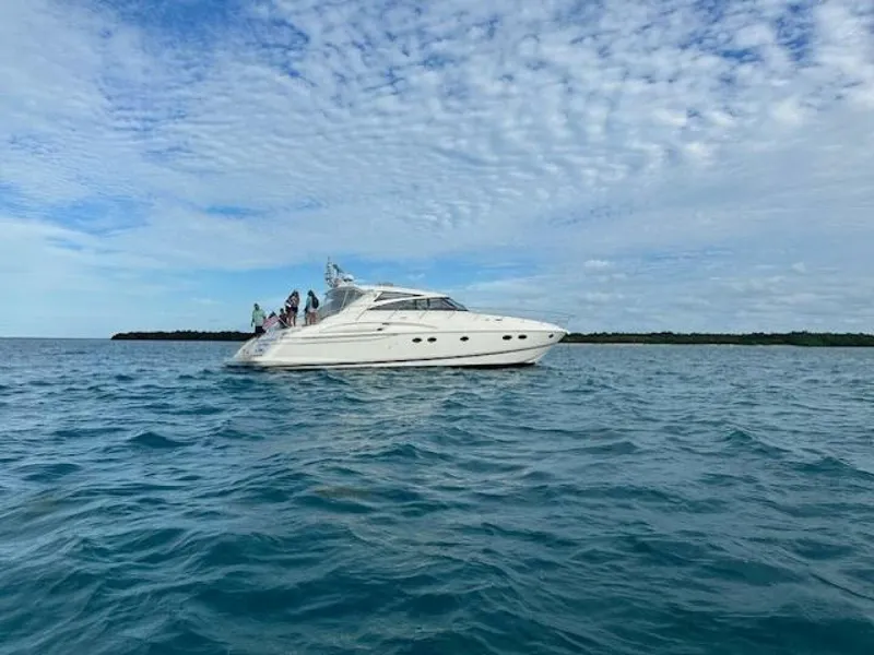 Slide: The Image of Viking 58V 2006 - 5413041