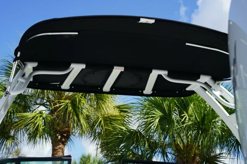 Slide: The Image of Monterey M45 OB 2025 - 5415558