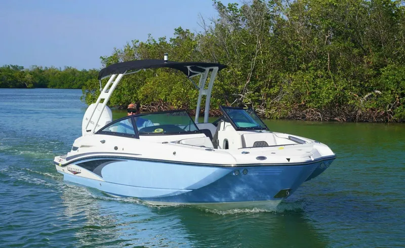 The Image of Monterey M45 OB 2025 - 5415596