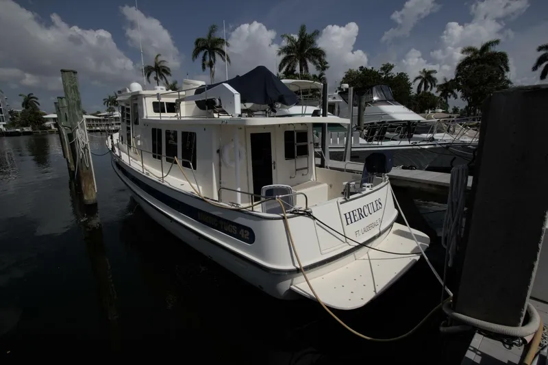 Slide: The Image of Nordic 42 Millennium 2000 - 5455826