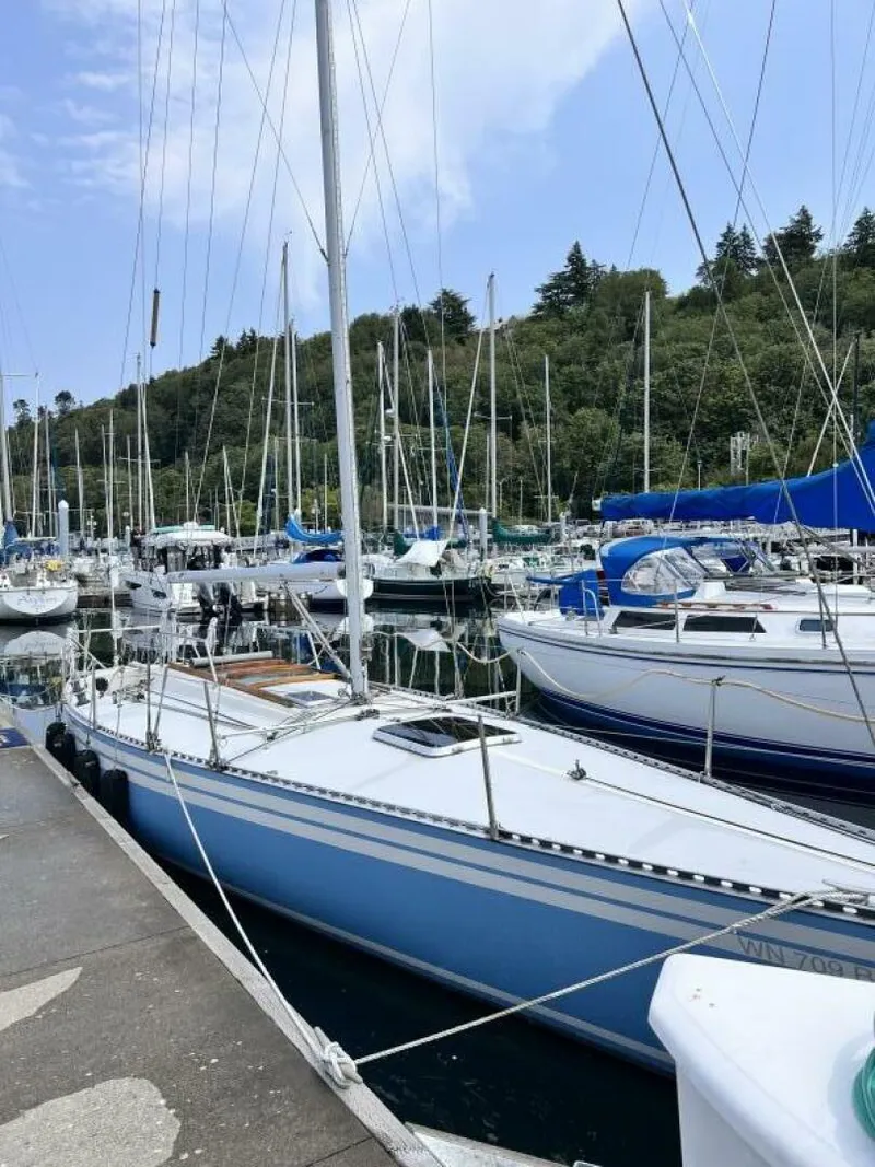 Slide: The Image of Aphrodite 32 1978 - 5418283