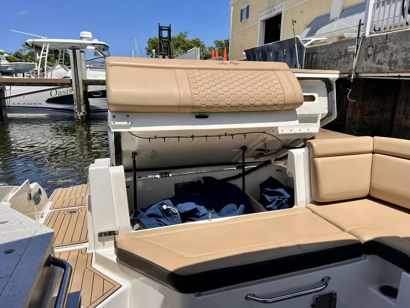 Slide: The Image of 2019 Sea Ray 290 SDX - Storage 2019 Sea Ray 290 SDX - 5418568
