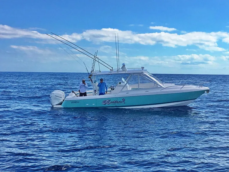 Slide: The Image of Intrepid 327 Cuddy 2017 - 5418814