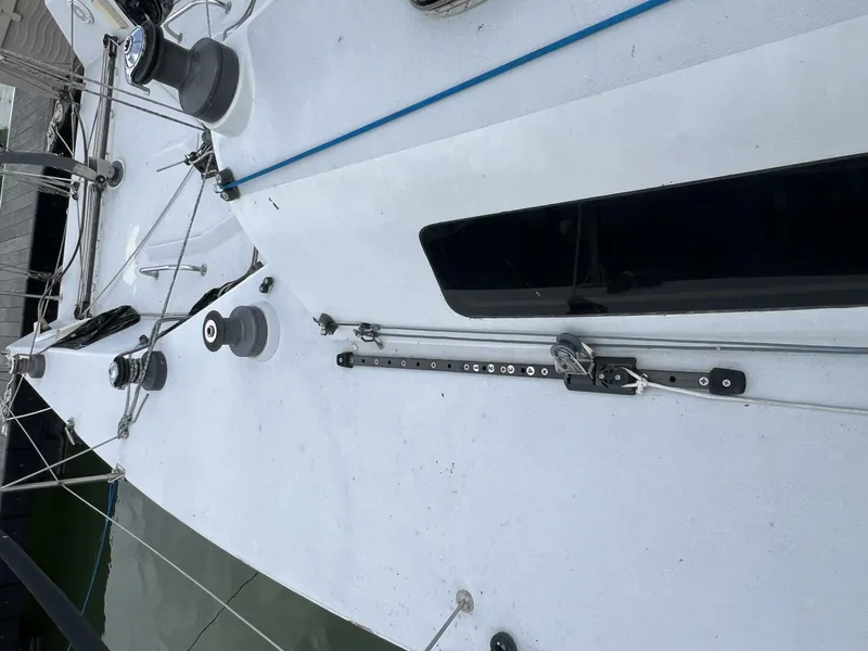 Slide: The Image of Carroll Mumm 36 1993 - 5424142