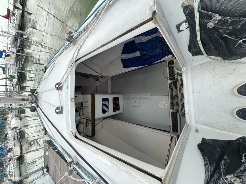 Slide: The Image of Carroll Mumm 36 1993 - 5424148