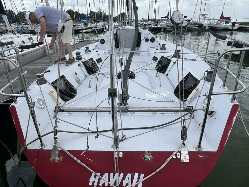 Slide: The Image of Carroll Mumm 36 1993 - 5424130